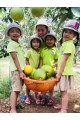 Dã ngoại Khối Nai Bambi ngày 09/09